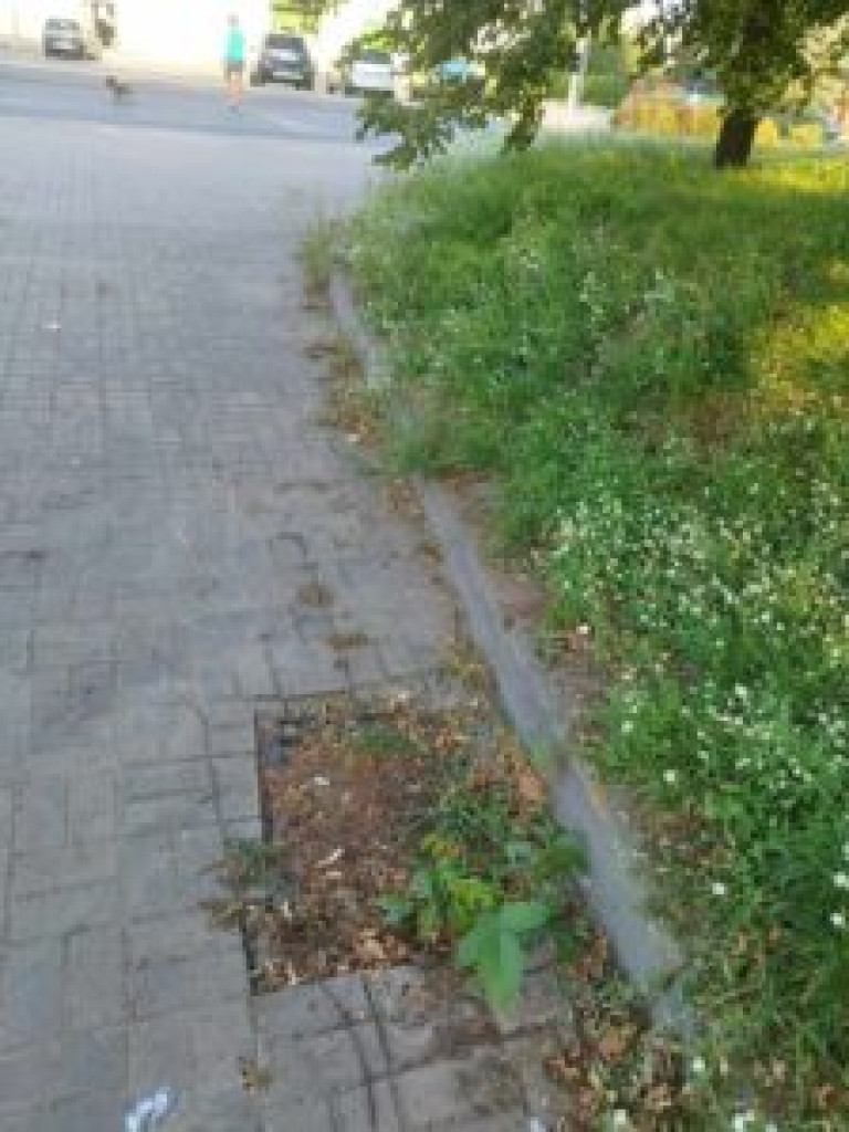 Problemy z kanalizacją deszczową w Mławie