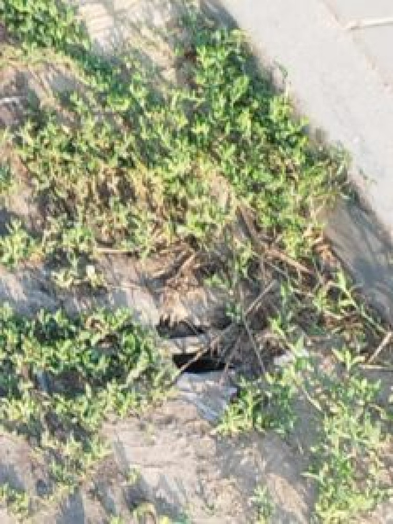 Problemy z kanalizacją deszczową w Mławie