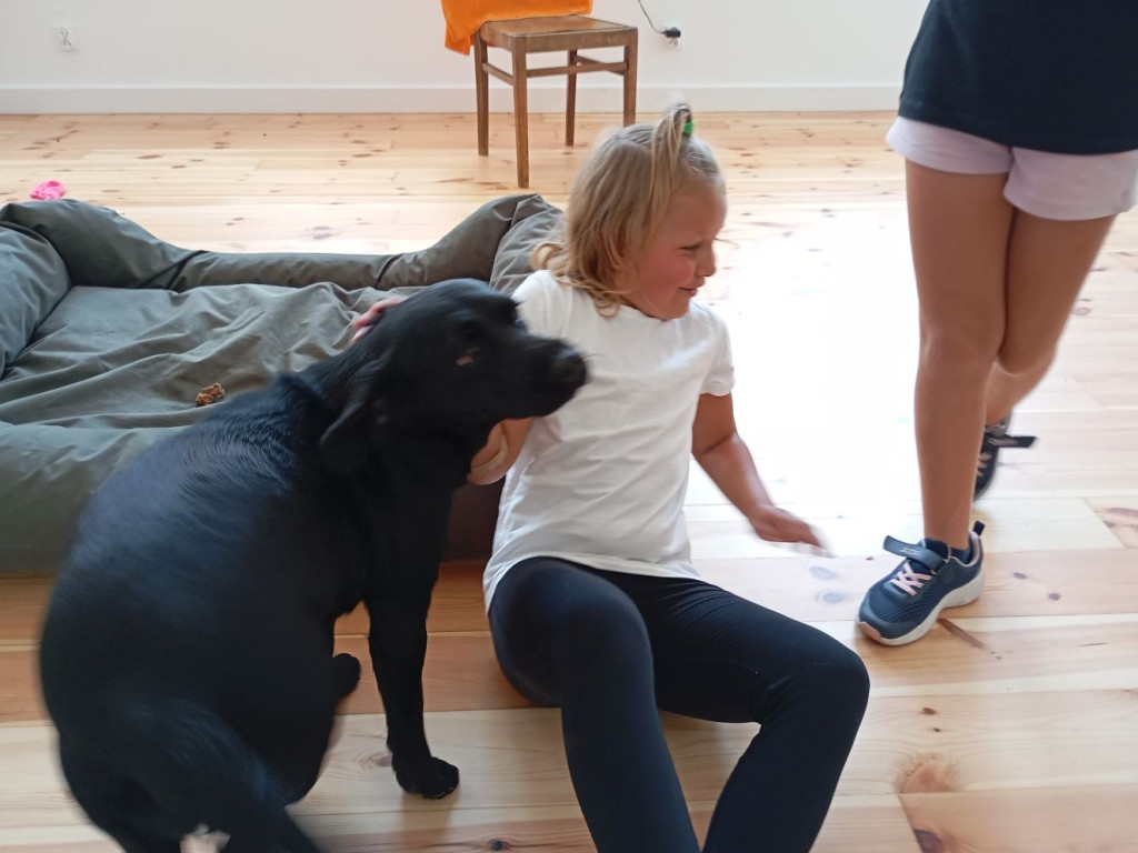 Motocykliści w domu dla zwierząt. Byli pod wrażeniem