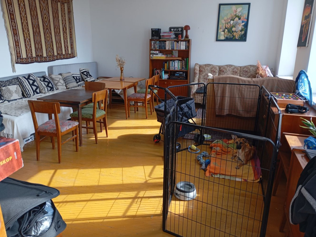 Motocykliści w domu dla zwierząt. Byli pod wrażeniem