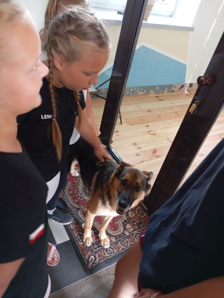 Motocykliści w domu dla zwierząt. Byli pod wrażeniem