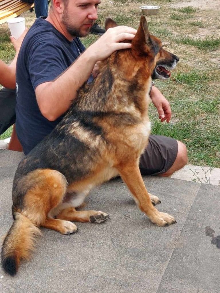 Motocykliści w domu dla zwierząt. Byli pod wrażeniem