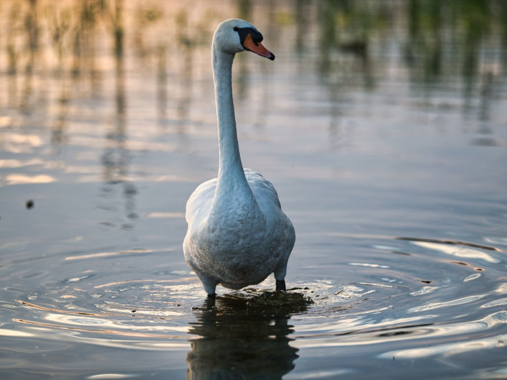 Takie klimaty niedaleko Mławy. Zdjęcia Bogdana Jakubowskiego