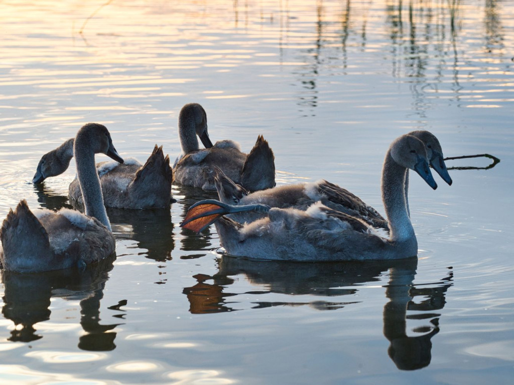 Takie klimaty niedaleko Mławy. Zdjęcia Bogdana Jakubowskiego