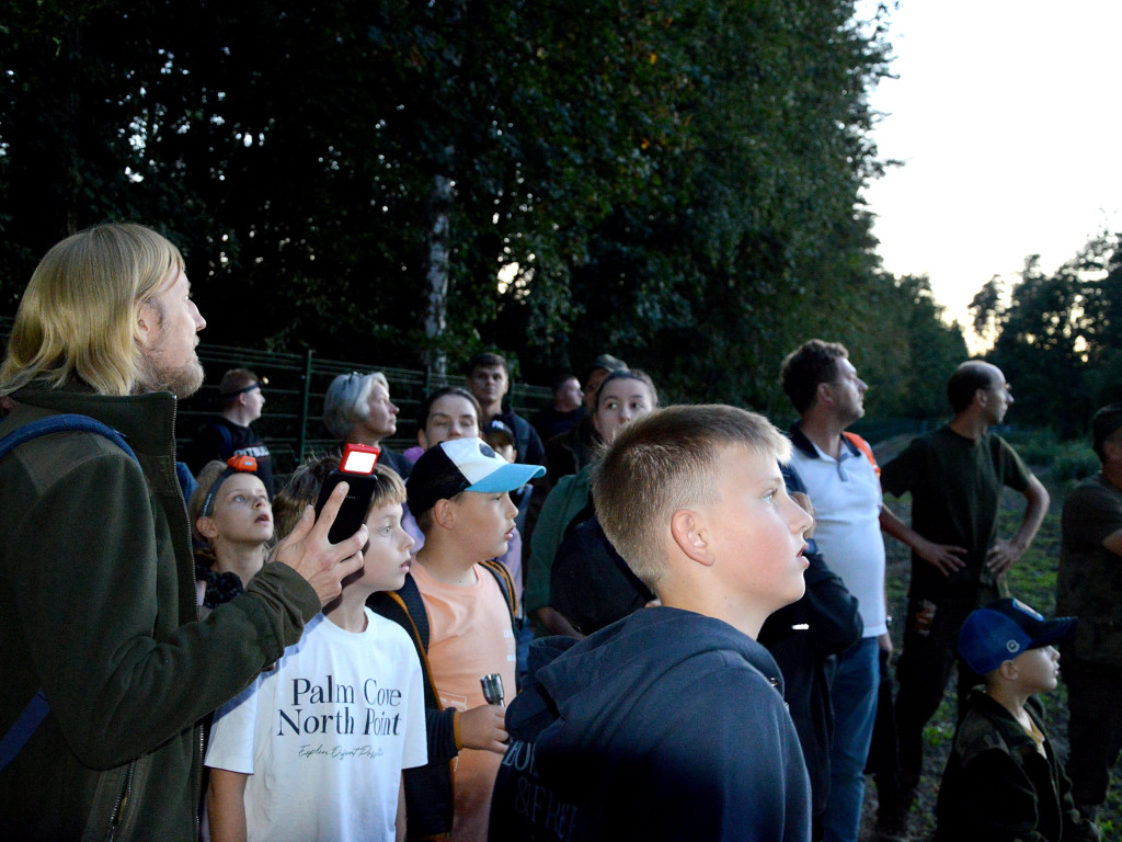 Noc z nietoperzami. Działo się w lesie