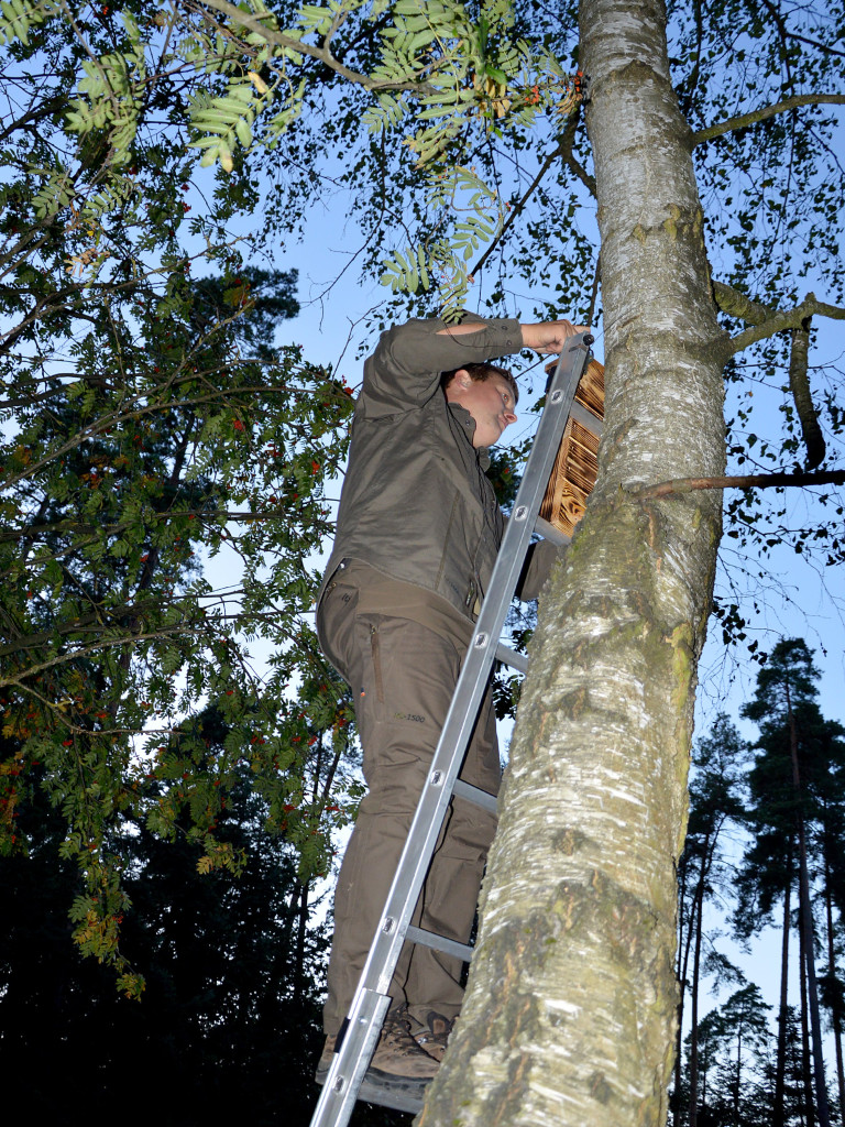 Noc z nietoperzami. Działo się w lesie