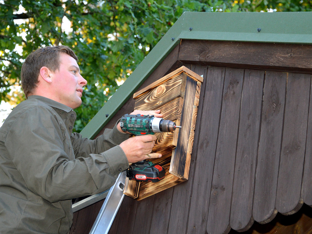 Noc z nietoperzami. Działo się w lesie