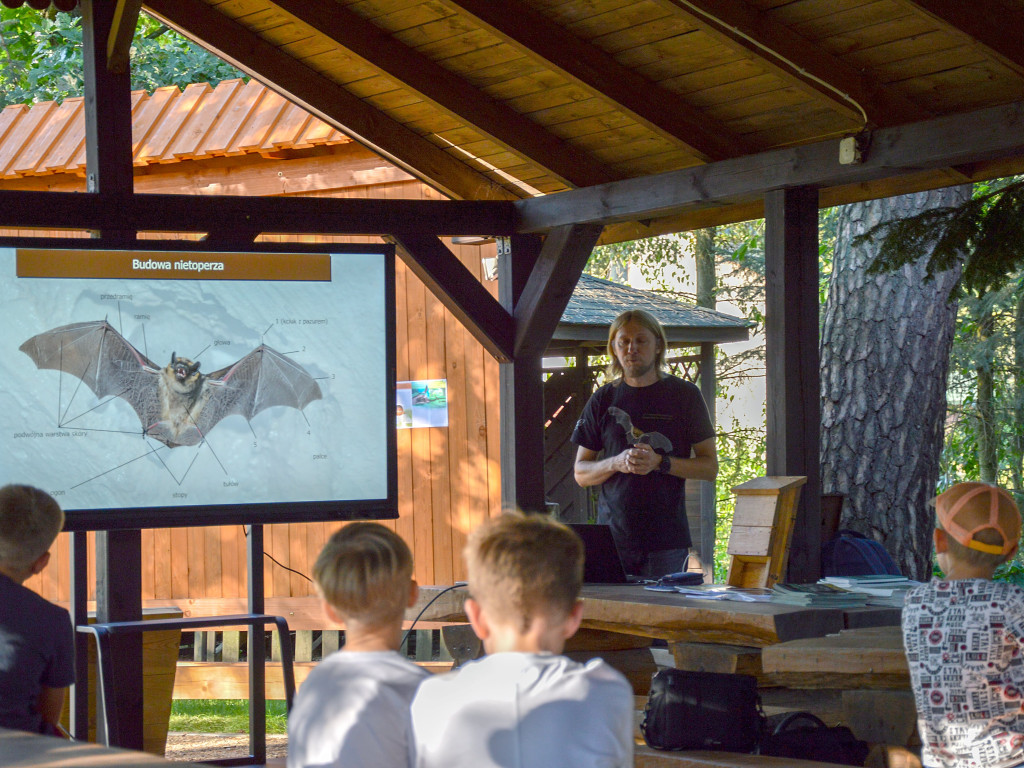 Noc z nietoperzami. Działo się w lesie