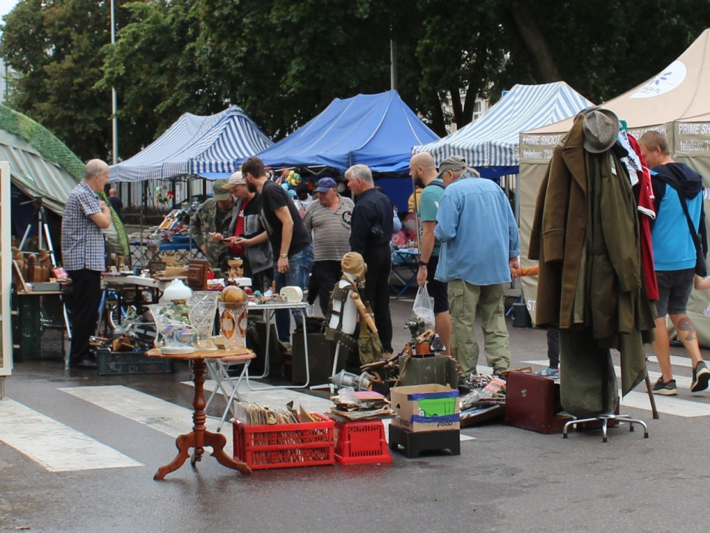 Piknik Militarny, koncerty i wystawy [NASZE RELACJE]