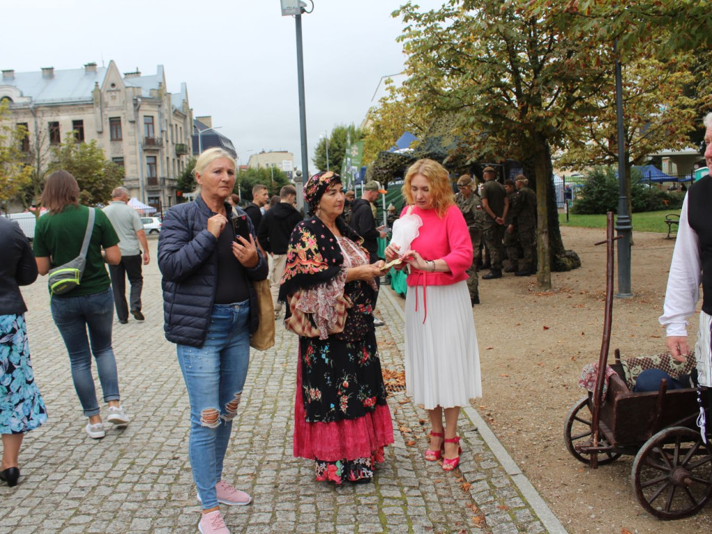 Piknik Militarny, koncerty i wystawy [NASZE RELACJE]