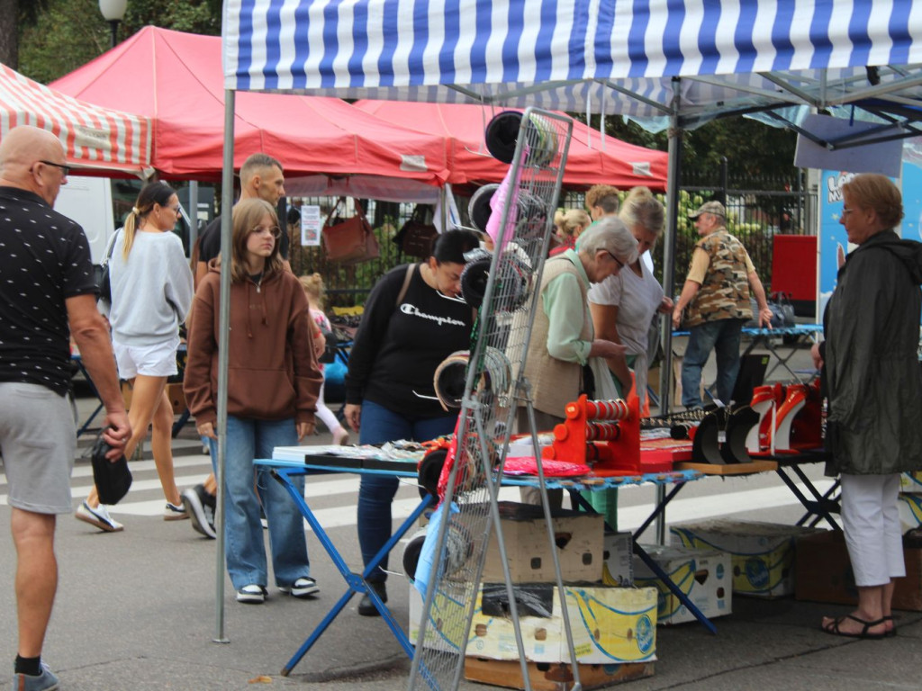 Piknik Militarny, koncerty i wystawy [NASZE RELACJE]