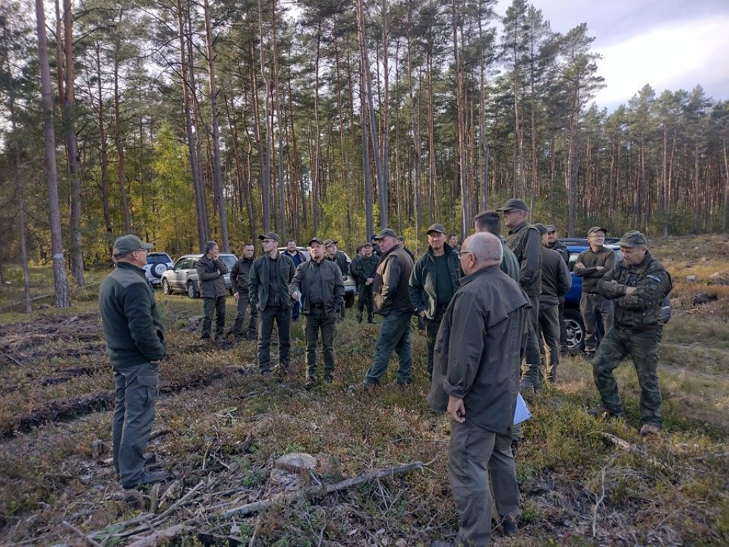 Posadzili ponad 8 tysięcy drzew