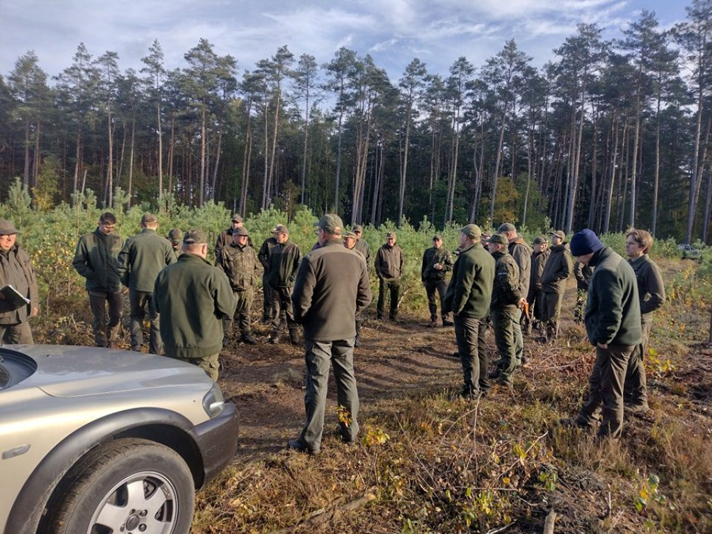 Posadzili ponad 8 tysięcy drzew
