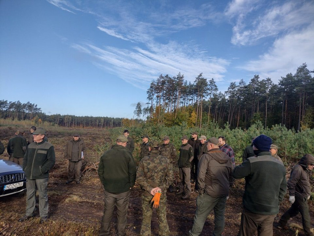 Posadzili ponad 8 tysięcy drzew