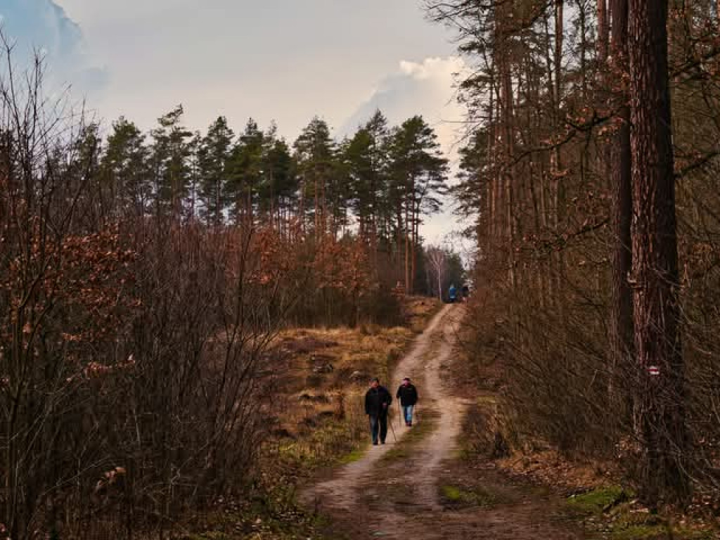 Zalew Ruda w obiektywie Bogdana Jakubowskiego