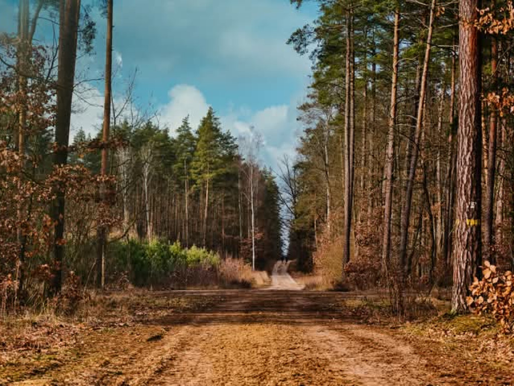 Zalew Ruda w obiektywie Bogdana Jakubowskiego