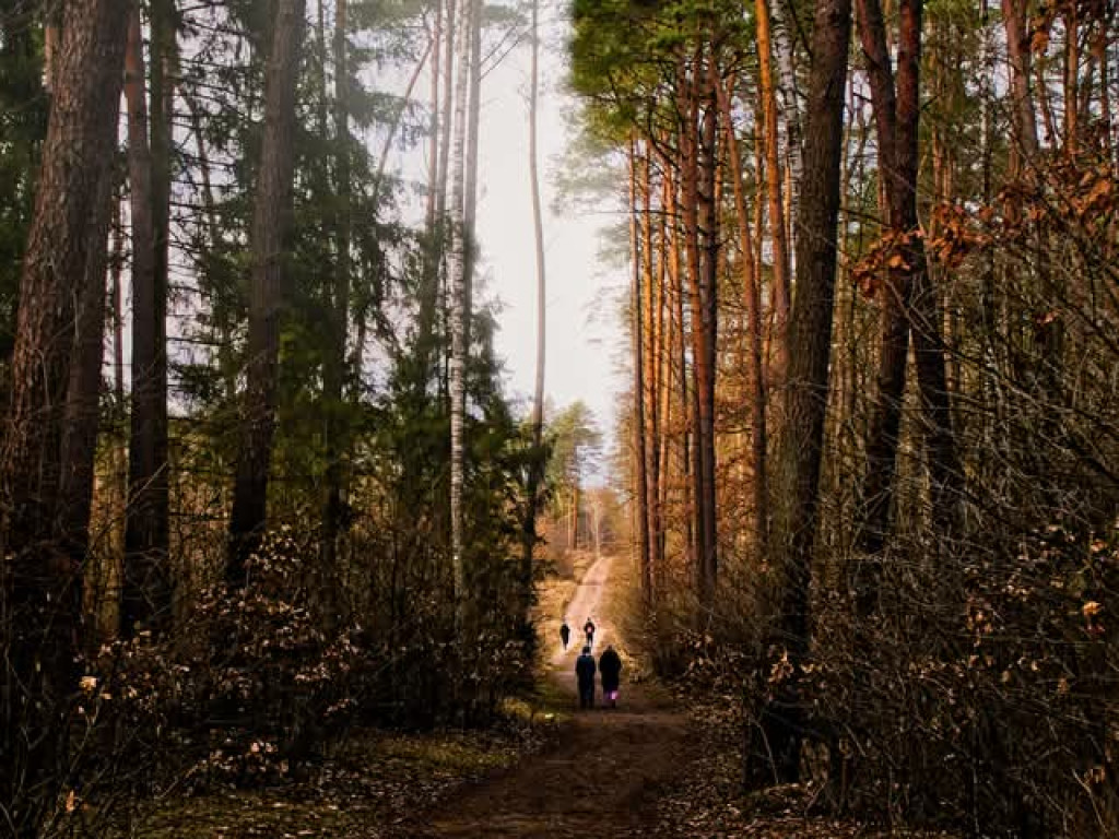 Zalew Ruda w obiektywie Bogdana Jakubowskiego