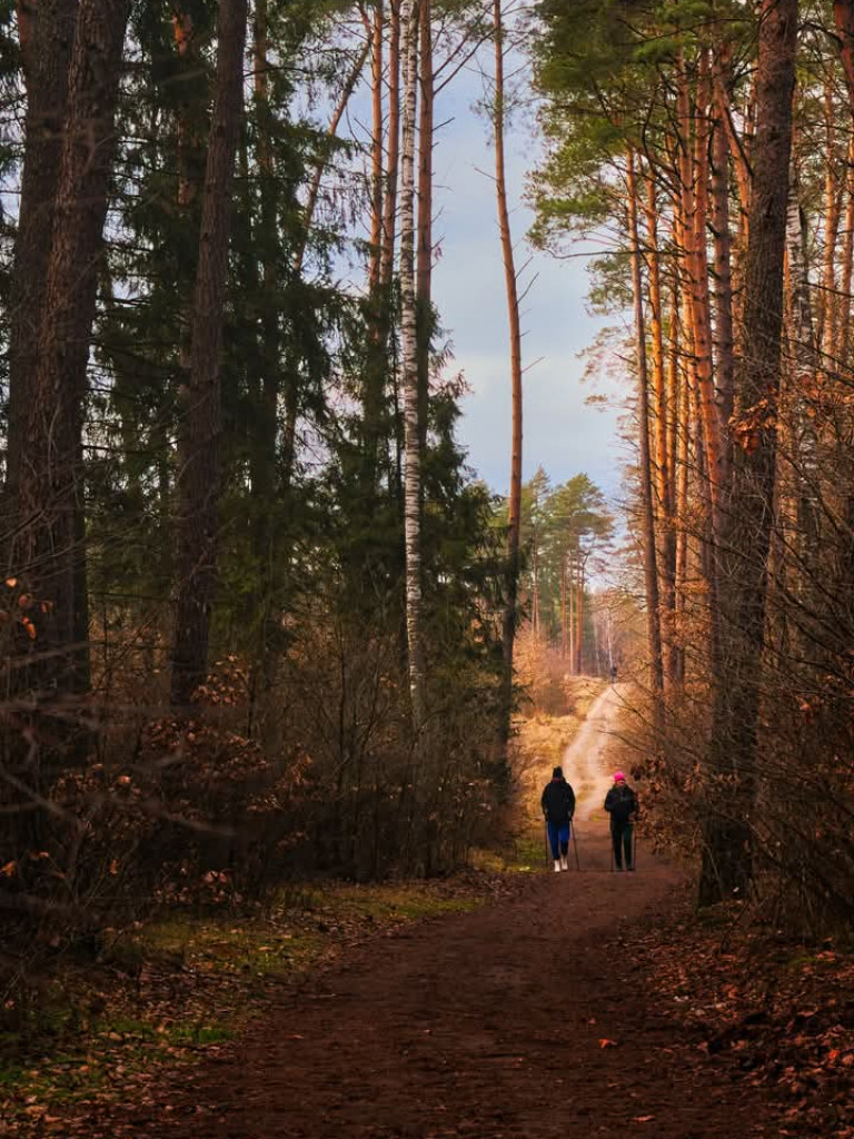 Zalew Ruda w obiektywie Bogdana Jakubowskiego