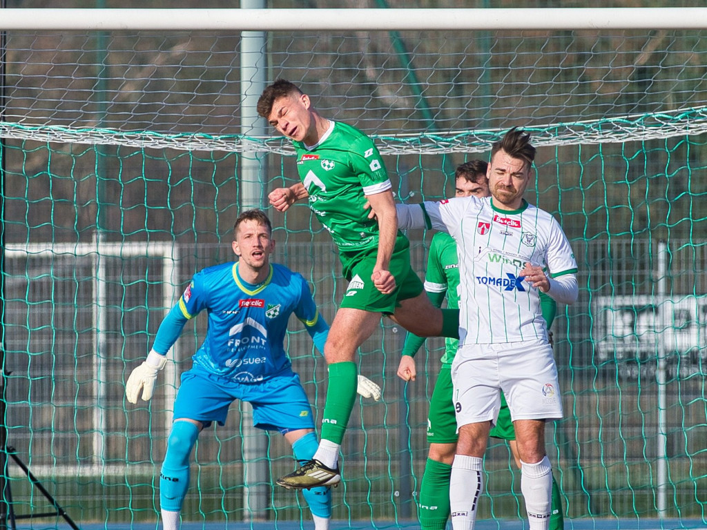 Damiana debiut jak marzenie. Efektowny triumf na inaugurację