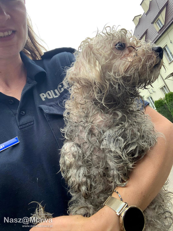 Mławska policja informuje o skutkach pożaru kamienicy przy ulicy Słowackiego