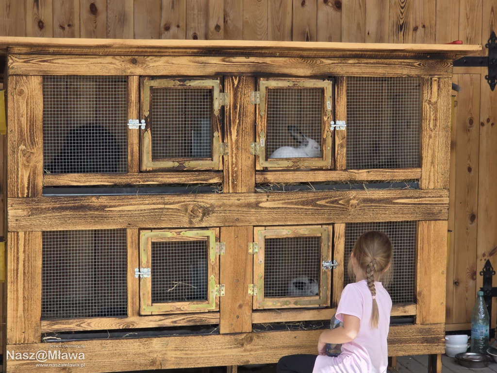 Wielbłąd i Spółka: Wakacyjne przygody w Mini ZOO