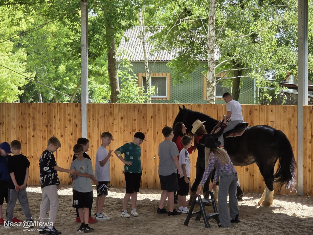 Wielbłąd i Spółka: Wakacyjne przygody w Mini ZOO