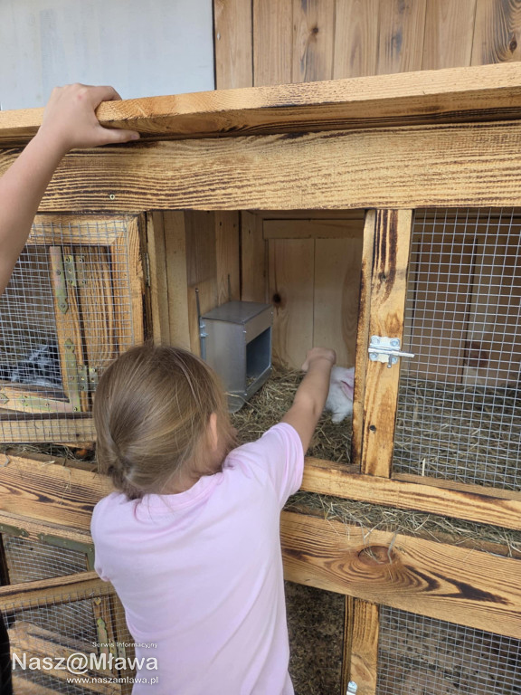 Wielbłąd i Spółka: Wakacyjne przygody w Mini ZOO
