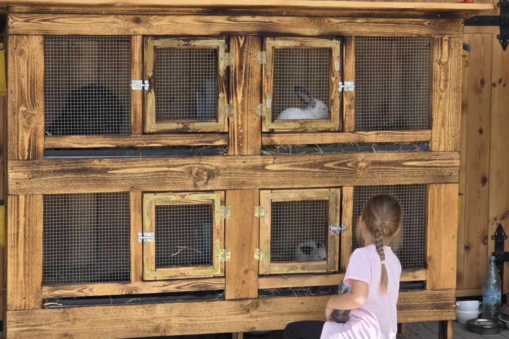 Wielbłąd i Spółka: Wakacyjne przygody w Mini ZOO