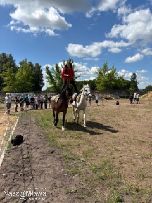 Wielbłąd i Spółka: Wakacyjne przygody w Mini ZOO