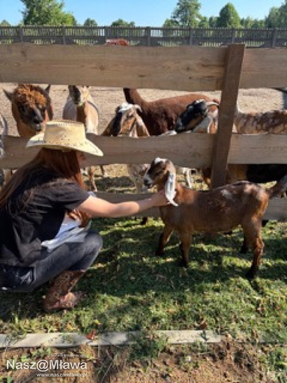 Wielbłąd i Spółka: Wakacyjne przygody w Mini ZOO