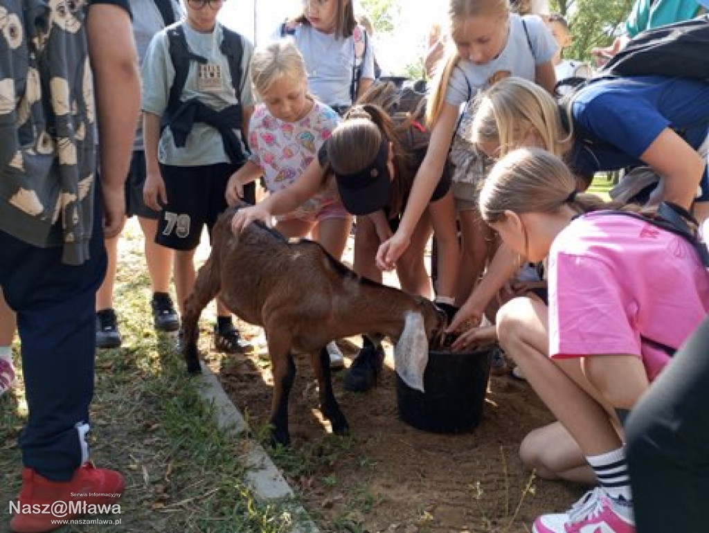 Wielbłąd i Spółka: Wakacyjne przygody w Mini ZOO