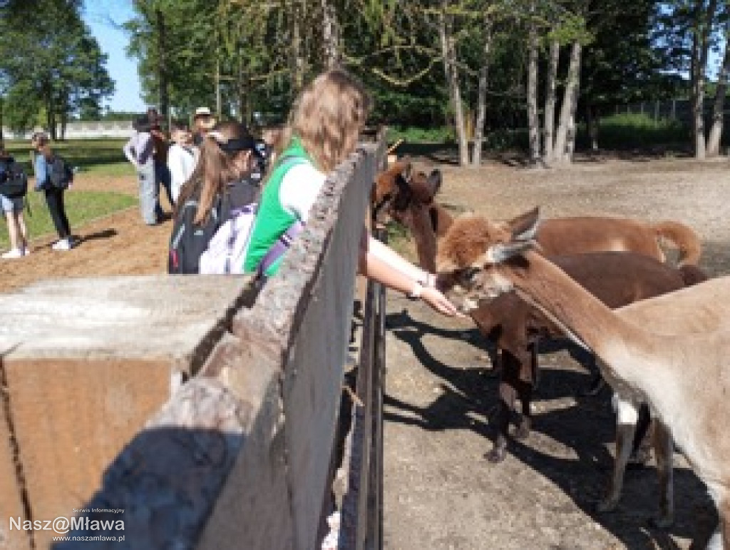 Wielbłąd i Spółka: Wakacyjne przygody w Mini ZOO