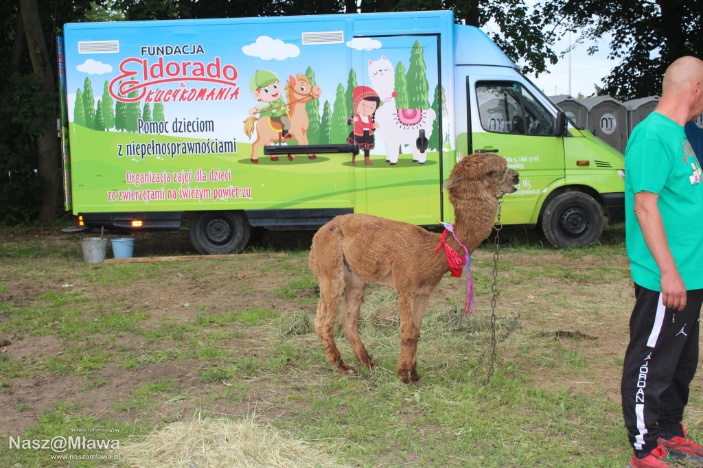 Dni Mławy 2025: Niezapomniane święto miasta pomimo kaprysów pogody!