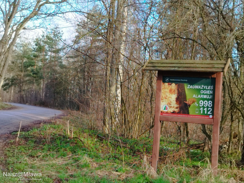 Leśna strefa relaksu na Krajewie