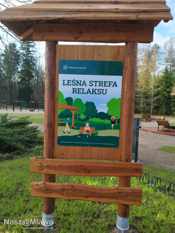 Leśna strefa relaksu na Krajewie