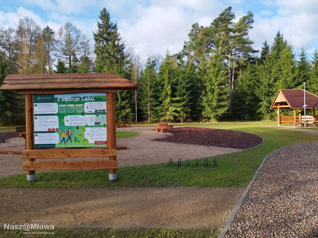 Leśna strefa relaksu na Krajewie