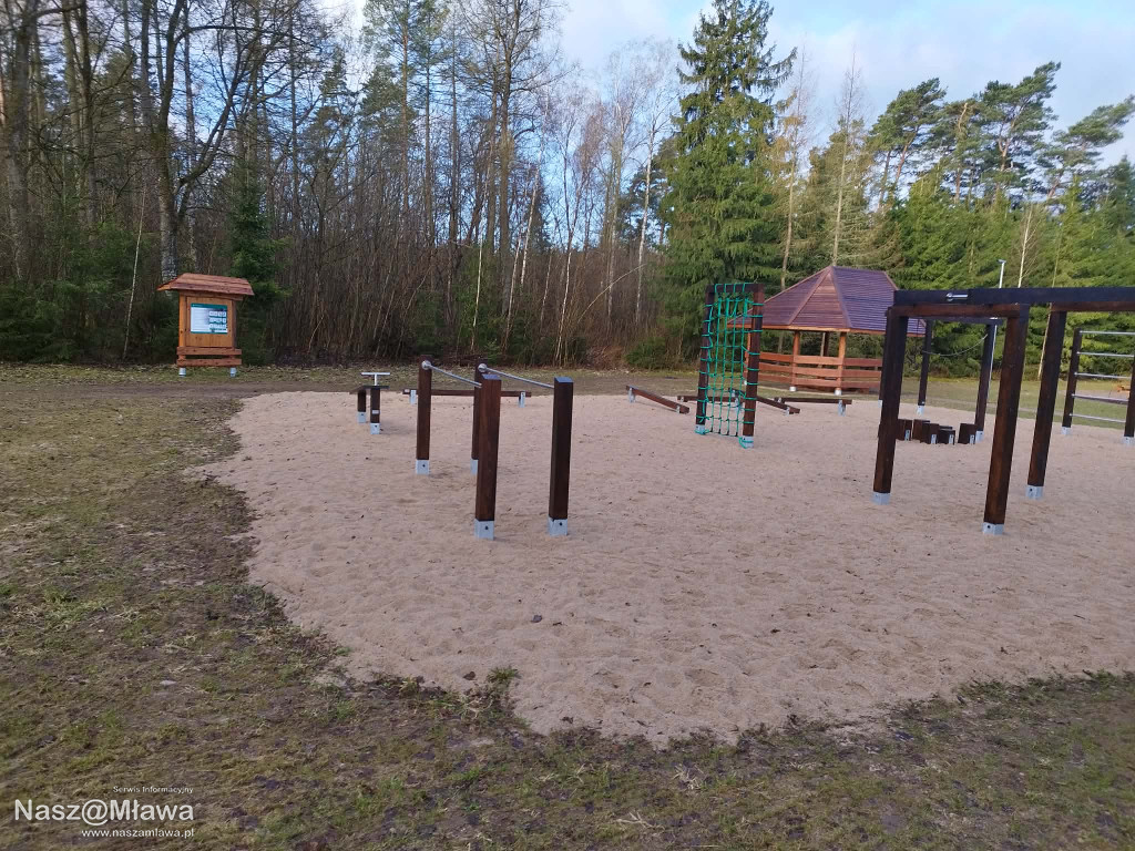 Leśna strefa relaksu na Krajewie