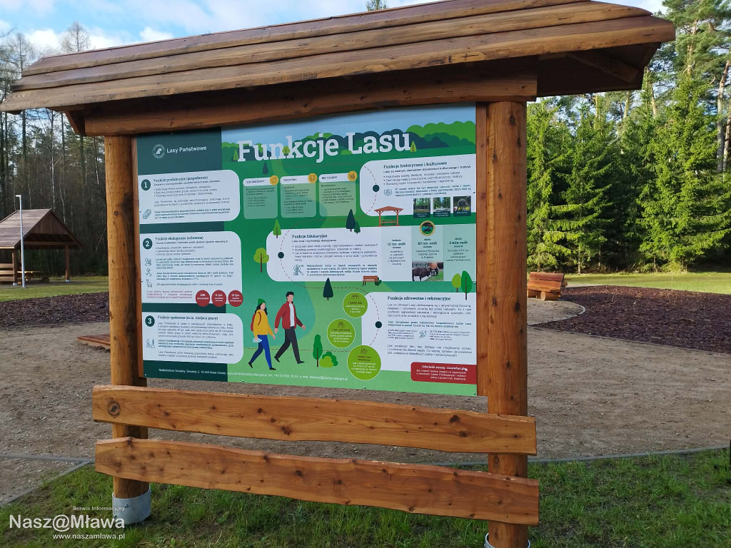 Leśna strefa relaksu na Krajewie