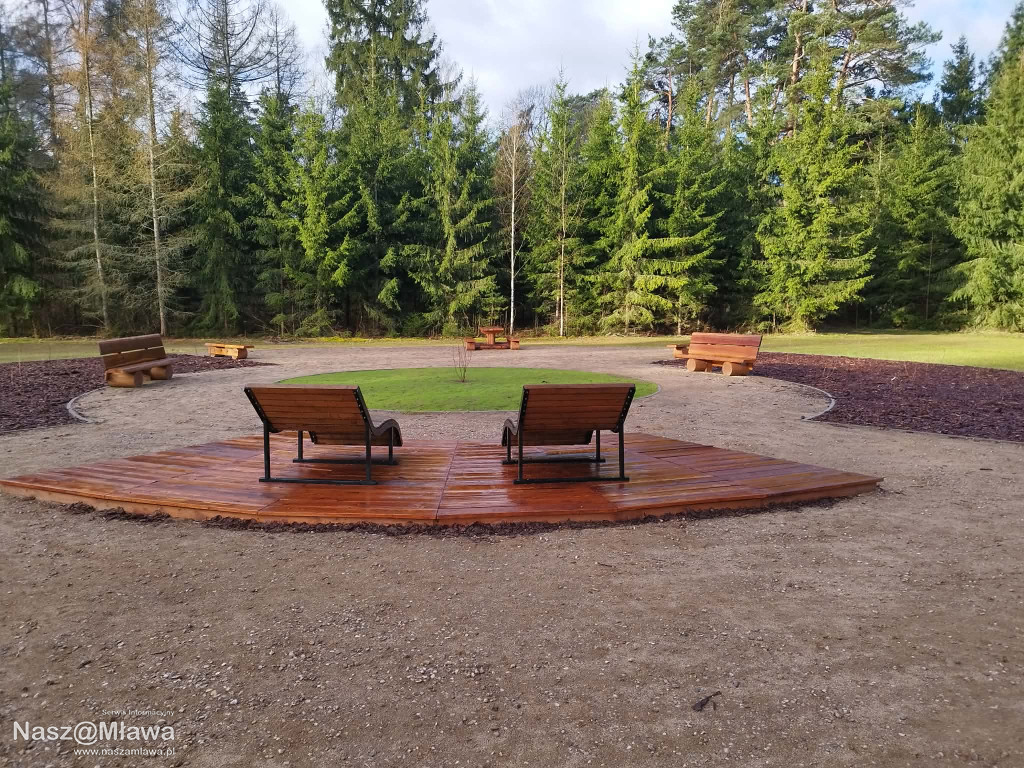 Leśna strefa relaksu na Krajewie