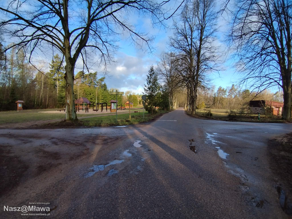 Leśna strefa relaksu na Krajewie
