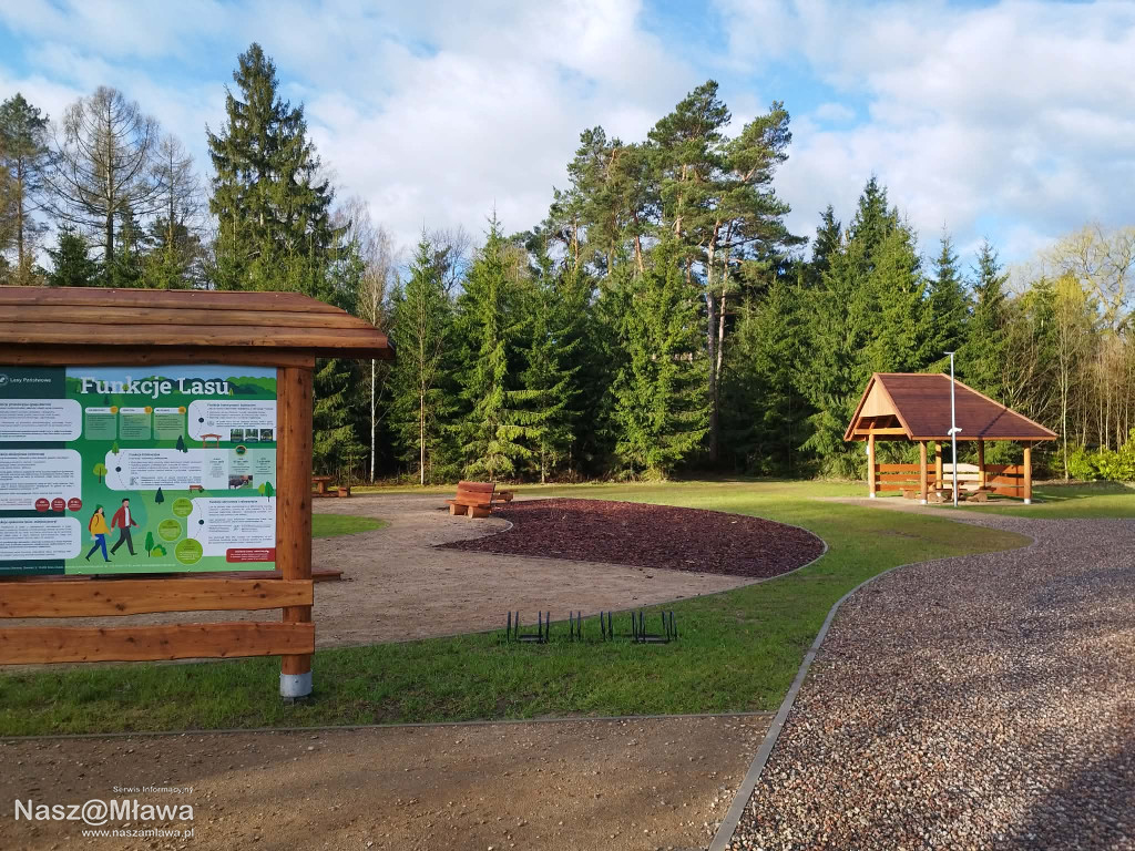 Leśna strefa relaksu na Krajewie