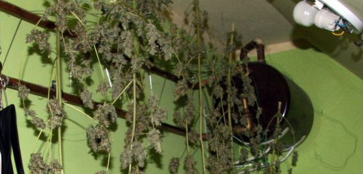 Ojciec 22-latka zatrzymanego za narkotyki także usłyszał zarzuty