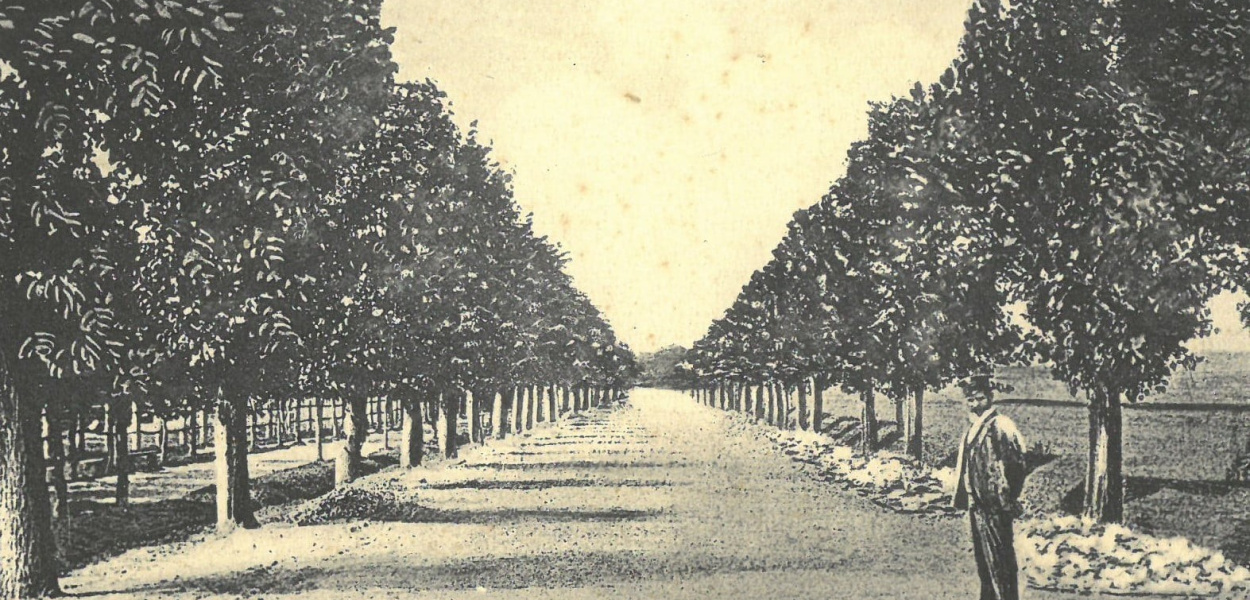 Takiej alei Piłsudskiego nikt nie pamięta [ZDJĘCIA]