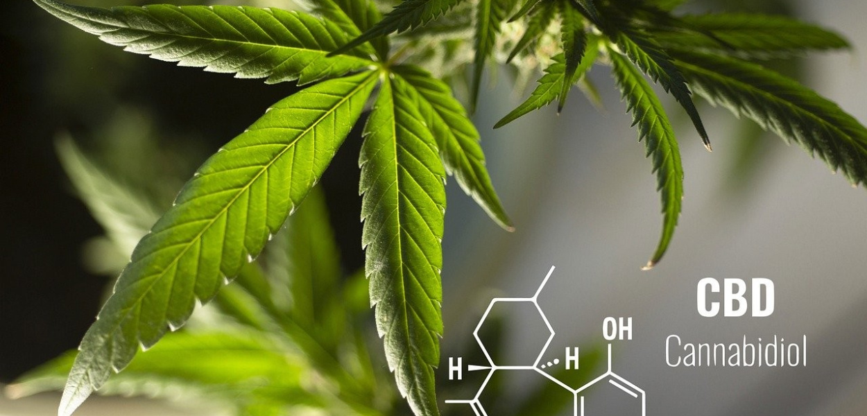 6 najważniejszych faktów o CBD