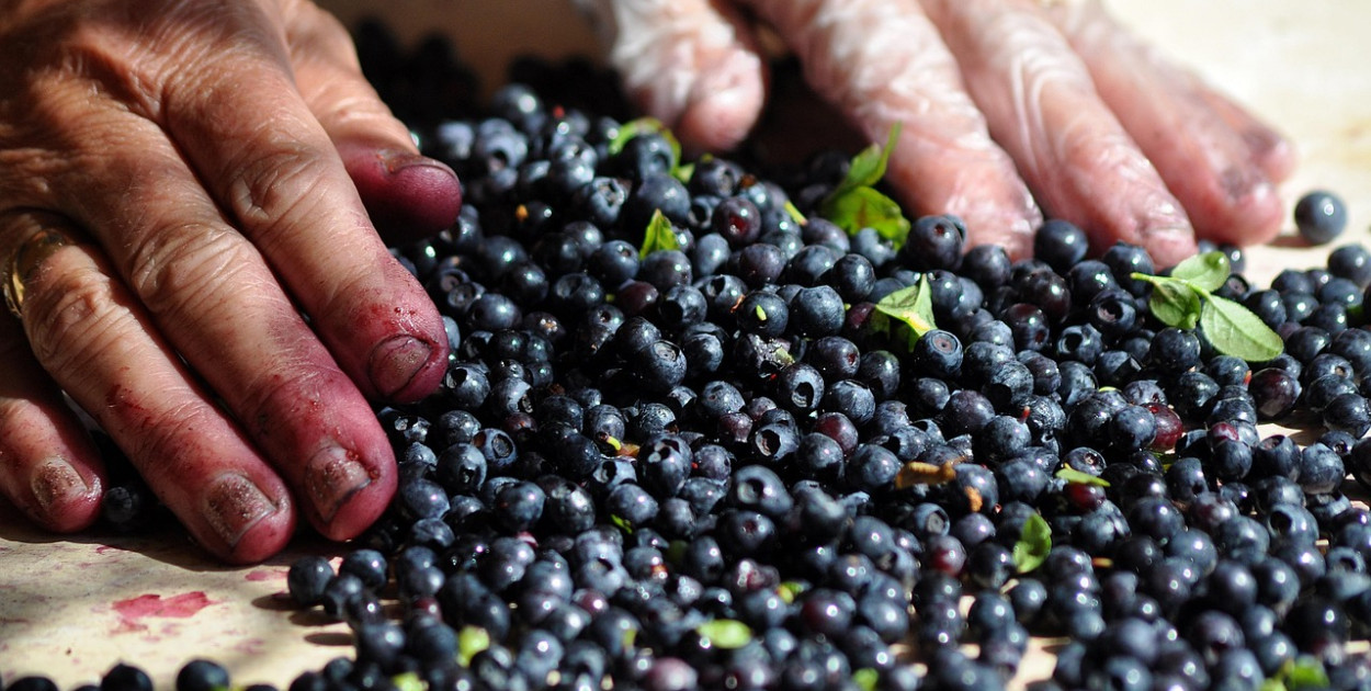 Obraz Artur Pawlak z Pixabay