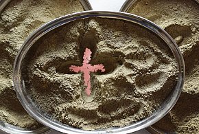 Czy trzeba iść do kościoła w Środę Popielcową?