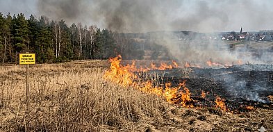 Zabójczy mit „oczyszczania” ziemi