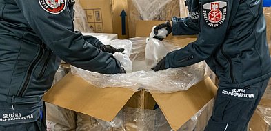 Mazowsze. Udaremniony przemyt koralowców z Indonezji