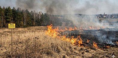 Zabójczy mit „oczyszczania” ziemi
