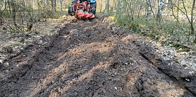 System ostrzegania o pożarach lasów